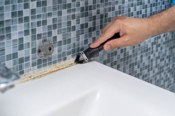 Best Home Mold Removal  in Sorrento, LA